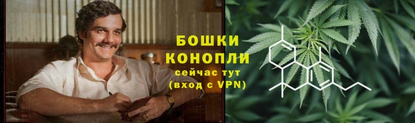 стаф Белоозёрский