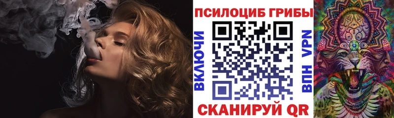 Псилоцибиновые грибы GOLDEN TEACHER  Сычёвка 