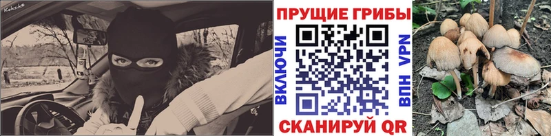 Галлюциногенные грибы Cubensis Сычёвка